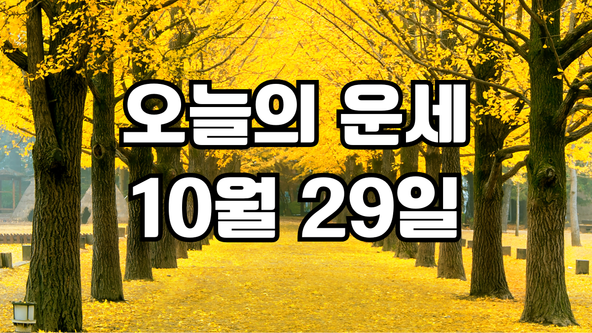 오늘의운세 10월 29일