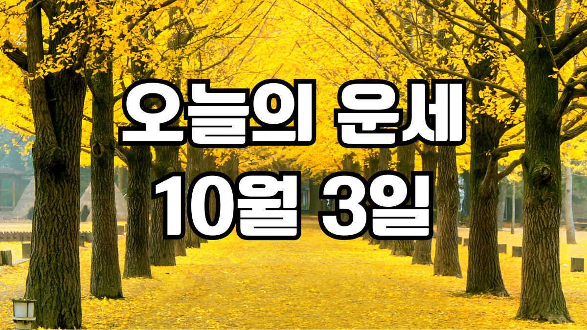 오늘의운세 10월 3일