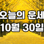 오늘의운세 10월 30일