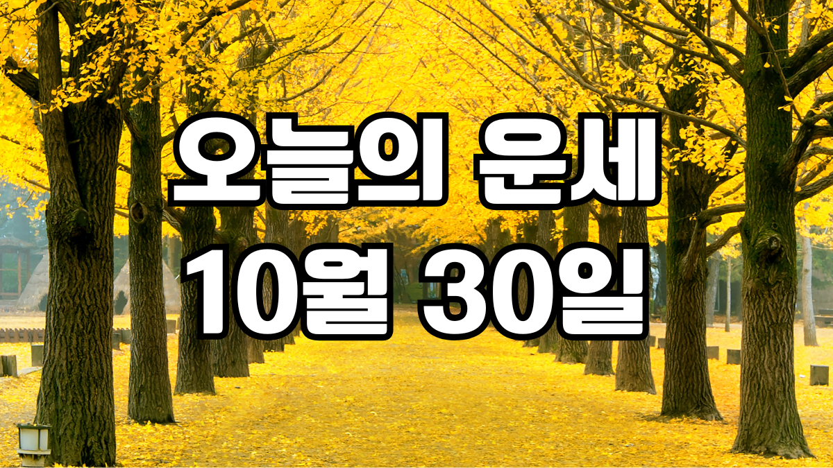 오늘의운세 10월 30일