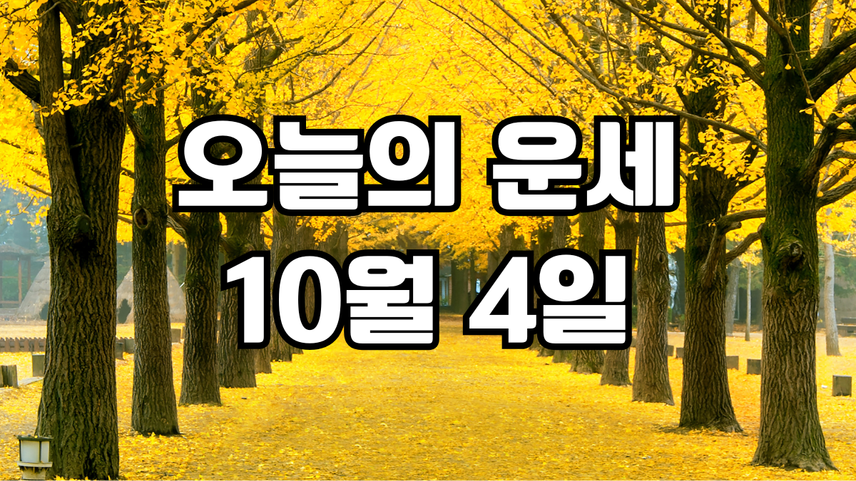 오늘의운세 10월 4일
