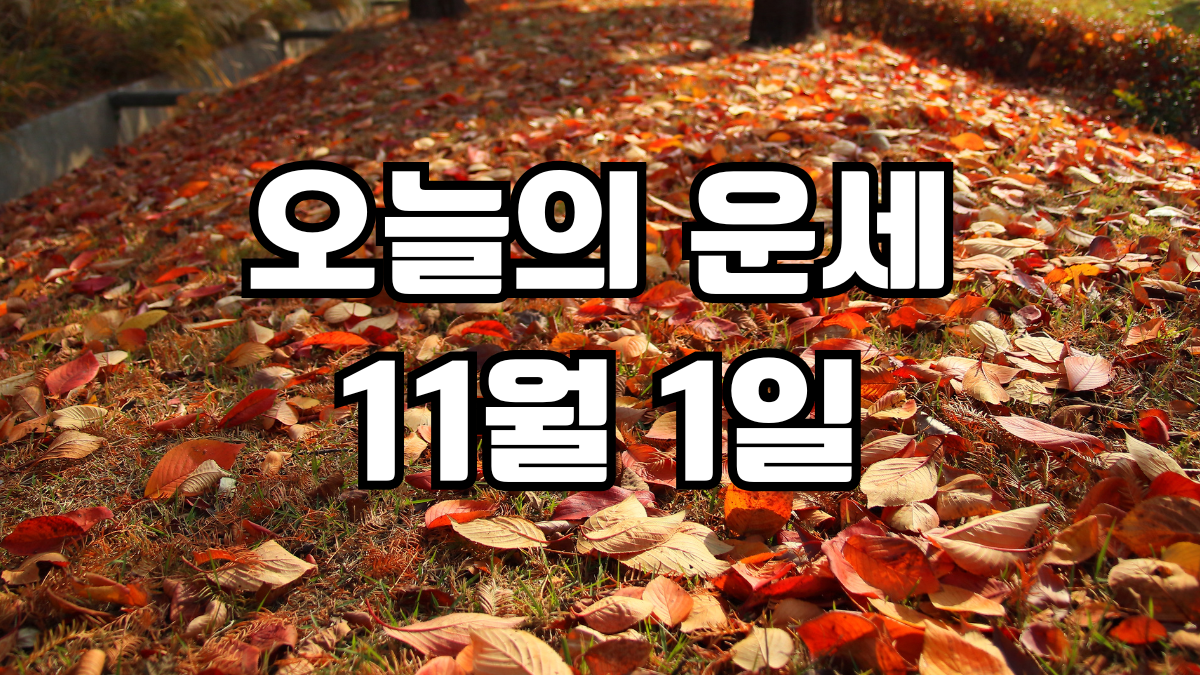 오늘의운세 11월 1일