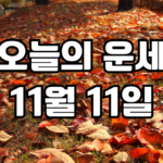 오늘의운세 11월 11일