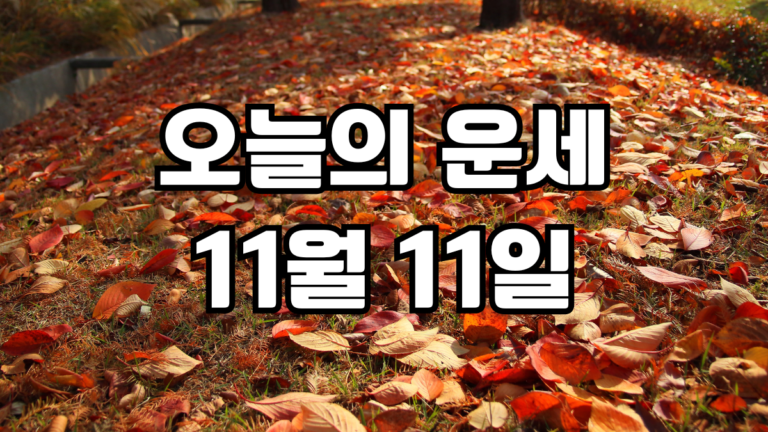 오늘의운세 11월 11일