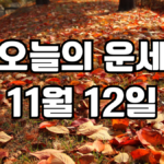 오늘의운세 11월 12일