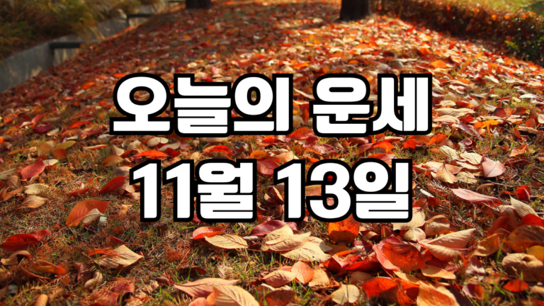 오늘의운세 11월 13일