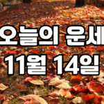 오늘의운세 11월 14일