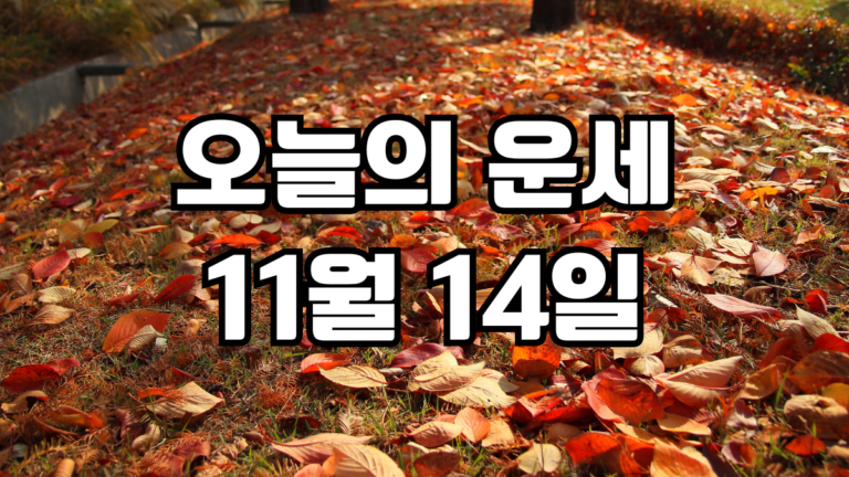 오늘의운세 11월 14일