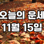 오늘의운세 11월 15일