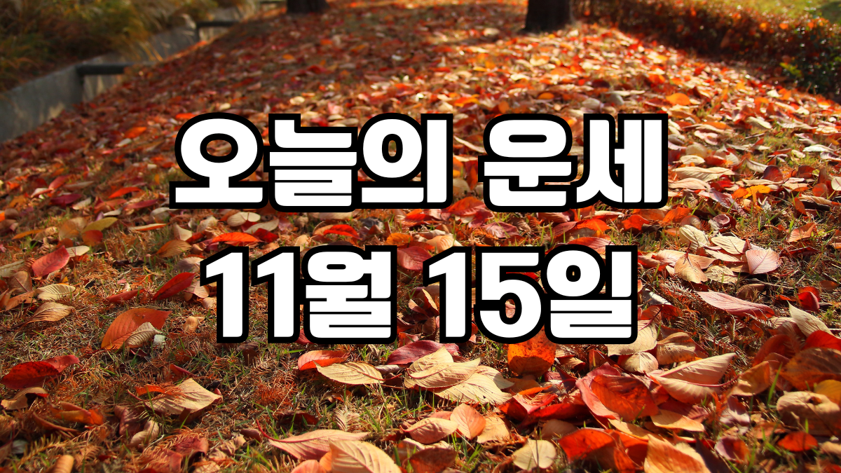 오늘의운세 11월 15일