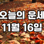 오늘의운세 11월 16일