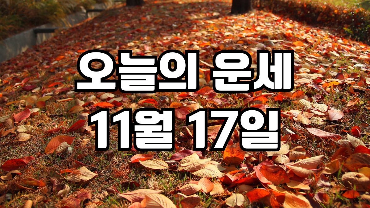 오늘의운세 11월 17일