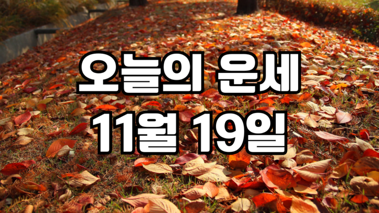 오늘의운세 11월 19일