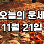 오늘의운세 11월 21일