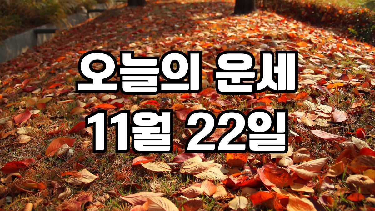 오늘의운세 11월 22일