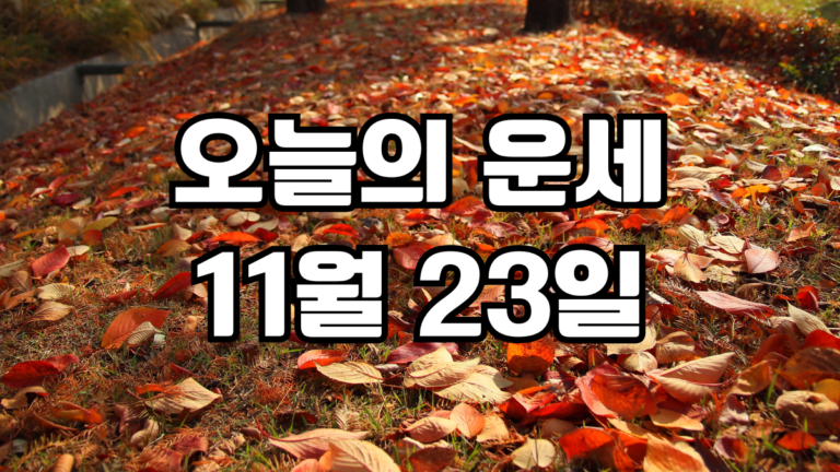 오늘의운세 11월 23일