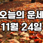 오늘의운세 11월 24일