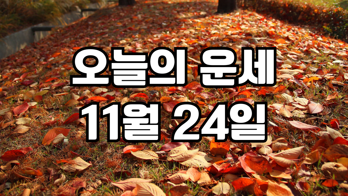 오늘의운세 11월 24일