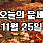 오늘의운세 11월 25일