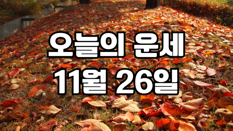 오늘의운세 11월 26일