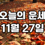 오늘의운세 11월 27일