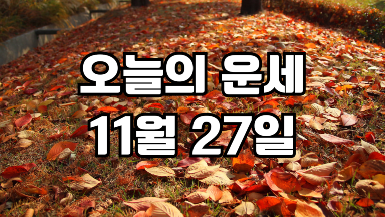 오늘의운세 11월 27일