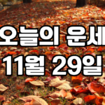 오늘의운세 11월 29일