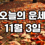 오늘의운세 11월 3일