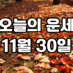 오늘의운세 11월 30일