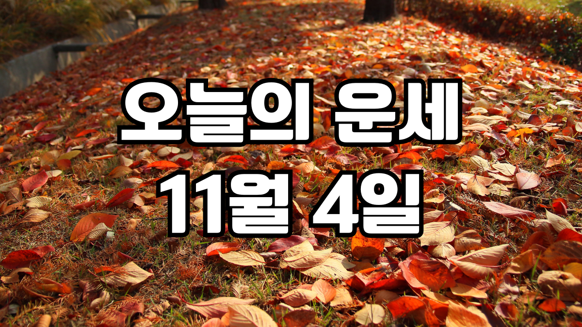 오늘의운세 11월 4일
