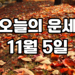 오늘의운세 11월 5일