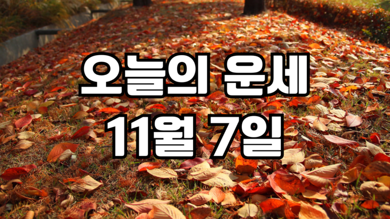 오늘의운세 11월 7일
