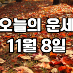 오늘의운세 11월 8일