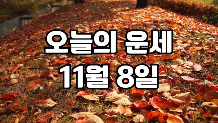 오늘의운세 11월 8일
