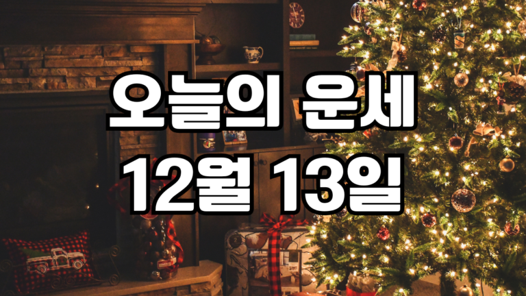 오늘의운세 12월 13일