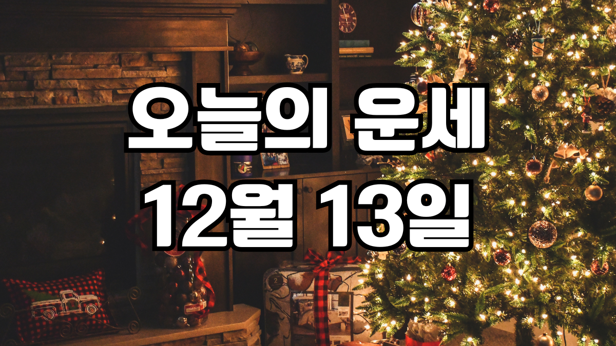 오늘의운세 12월 13일