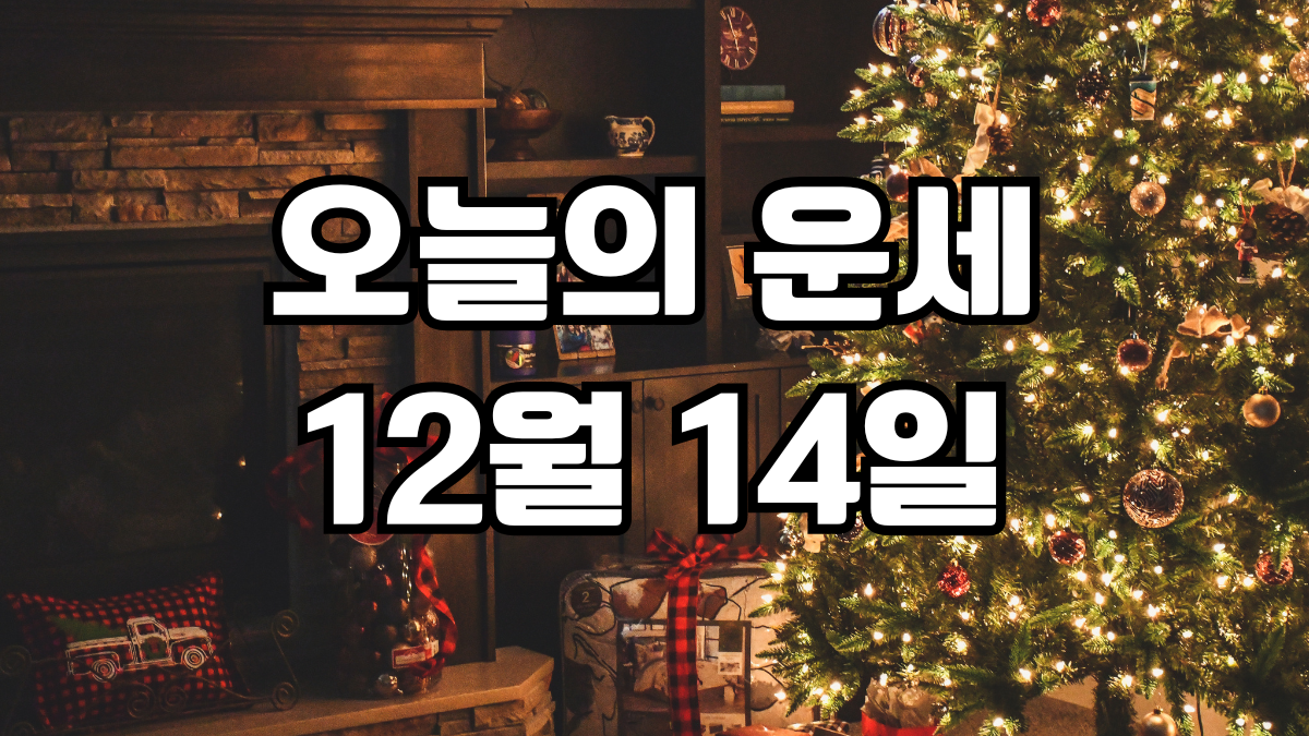 오늘의운세 12월 14일