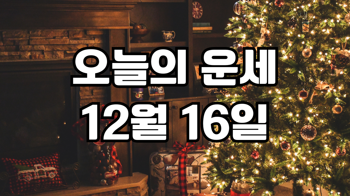 오늘의운세 12월 16일