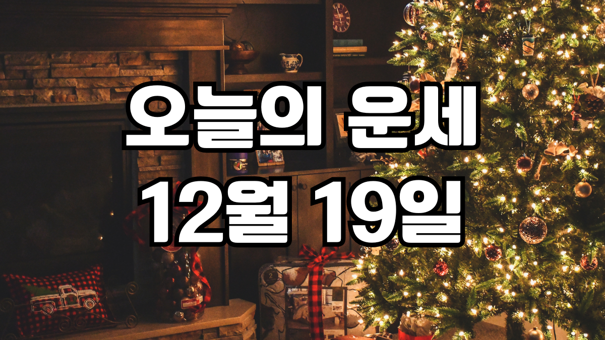 오늘의운세 12월 19일