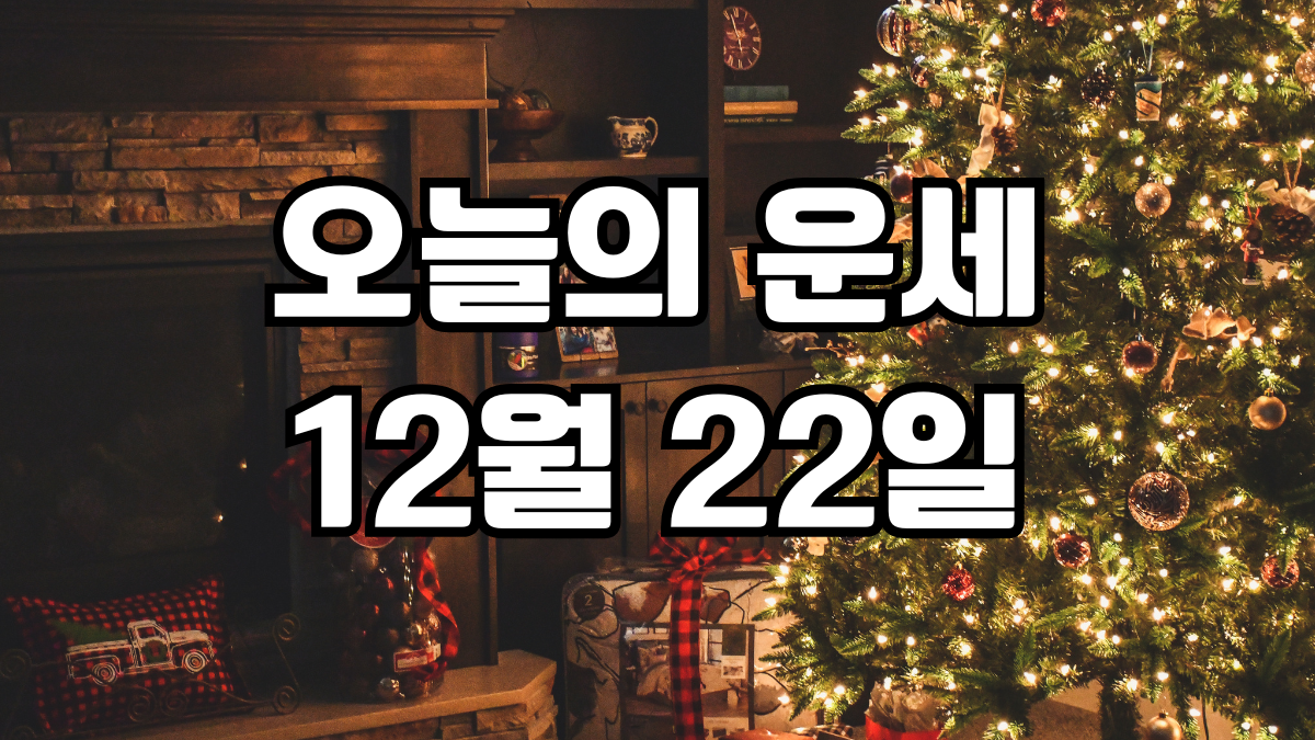 오늘의운세 12월 22일