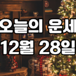 오늘의운세 12월 28일