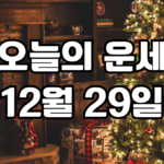오늘의운세 12월 29일