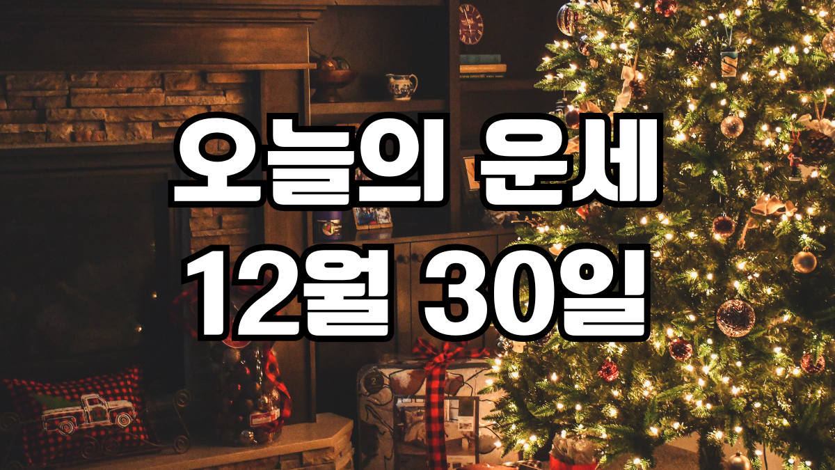 오늘의운세 12월 30일