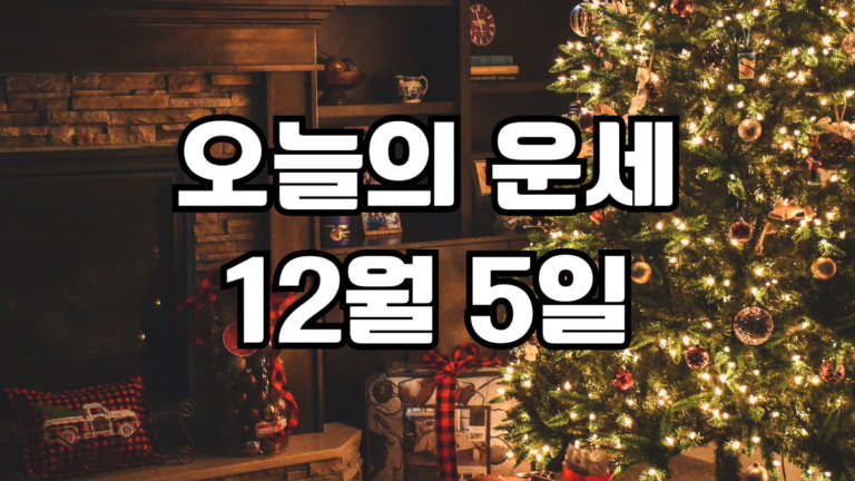오늘의운세 12월 5일