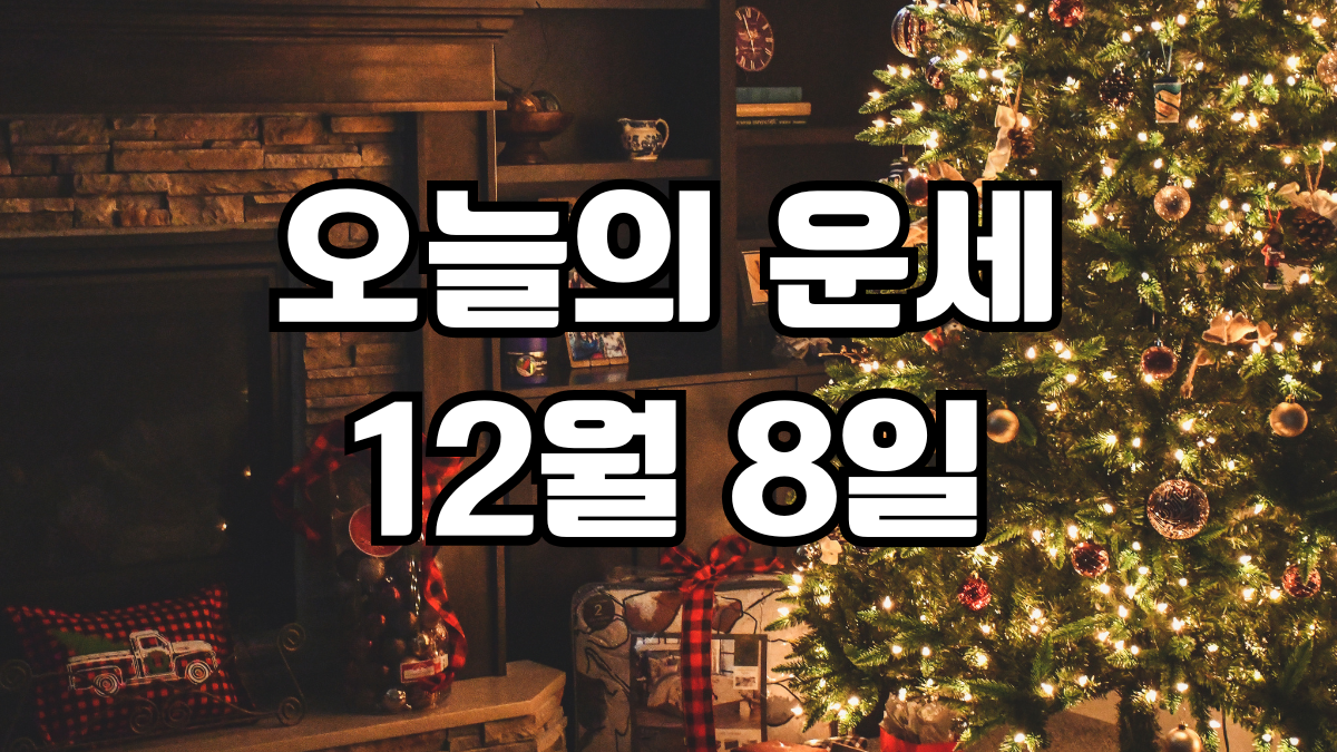 오늘의운세 12월 8일