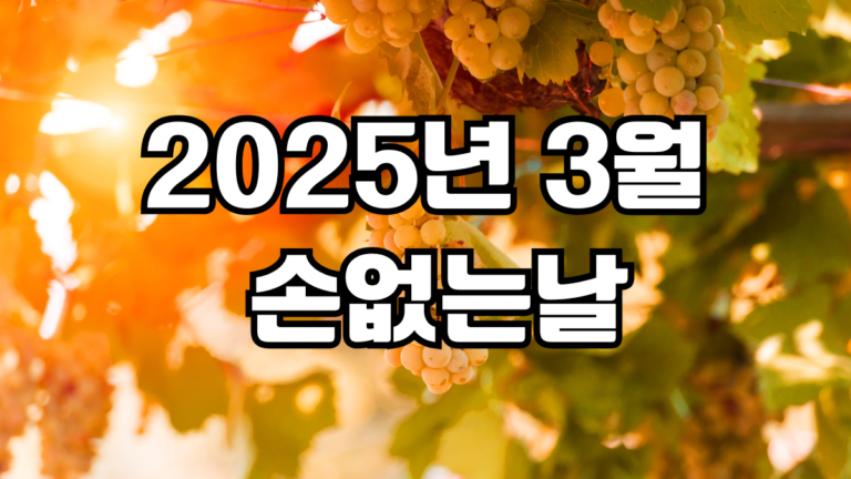 2025년 3월 손없는날