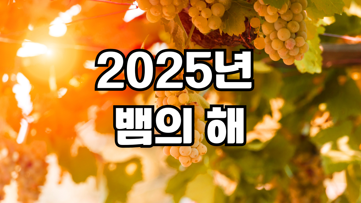 2025년 뱀의 해