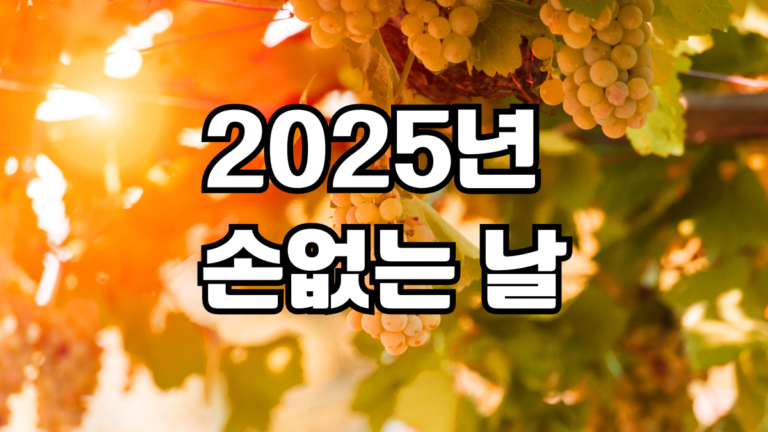 2025년 손없는날