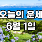 오늘의운세 6월 1일