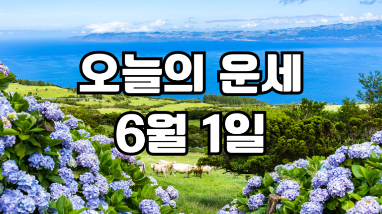 오늘의운세 6월 1일